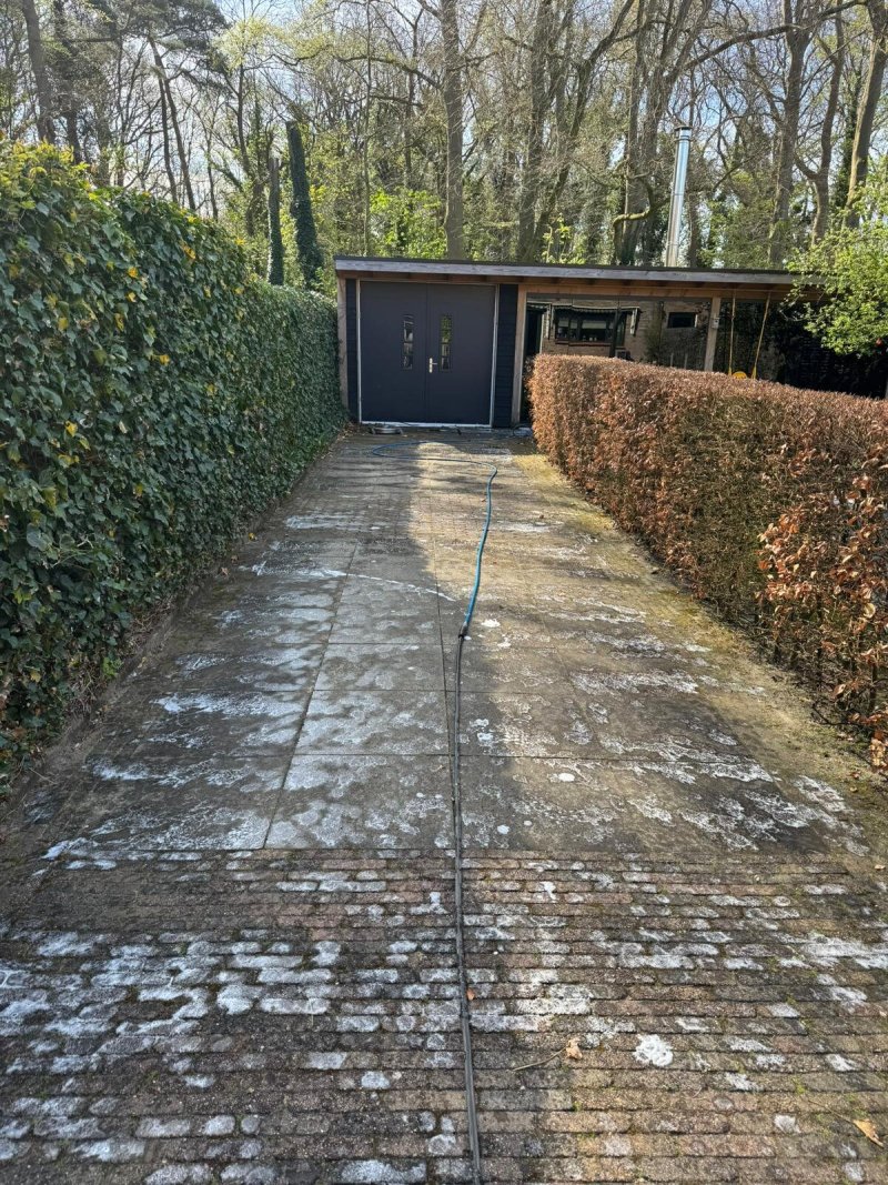Lange oprit tussen twee heggen, bedekt met witte mosaanslag
